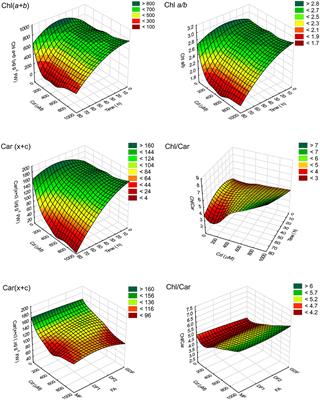 Time Course of Age-Linked Changes in Photosynthetic Efficiency of Spirodela polyrhiza Exposed to Cadmium